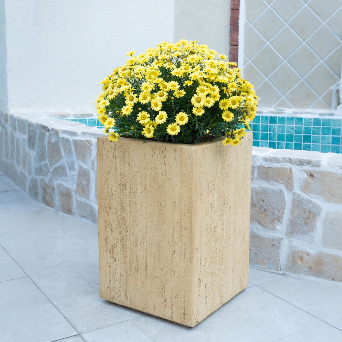 Square stone planter with yellow flowers against a tiled wall.