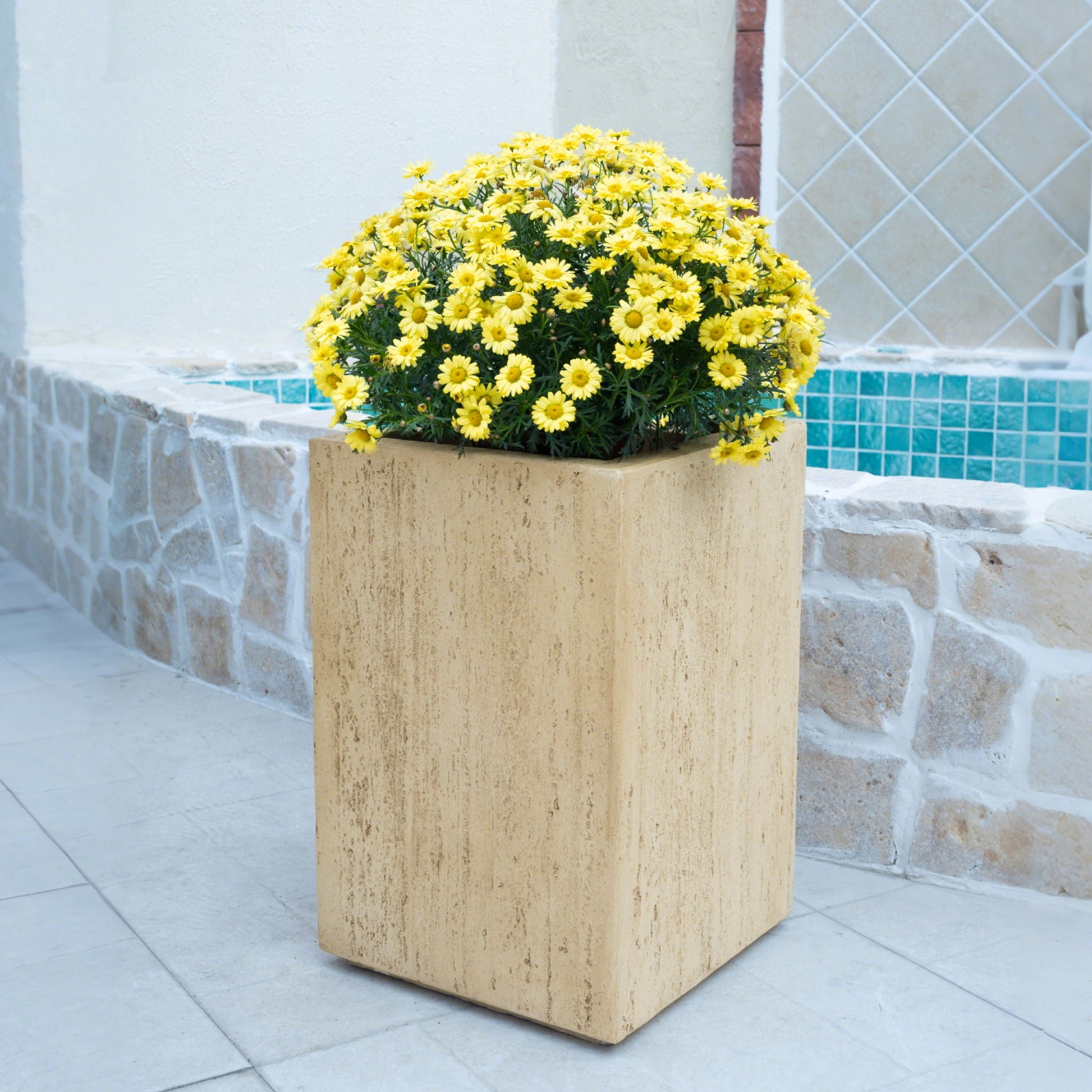 Square stone planter with yellow flowers against a tiled wall.
