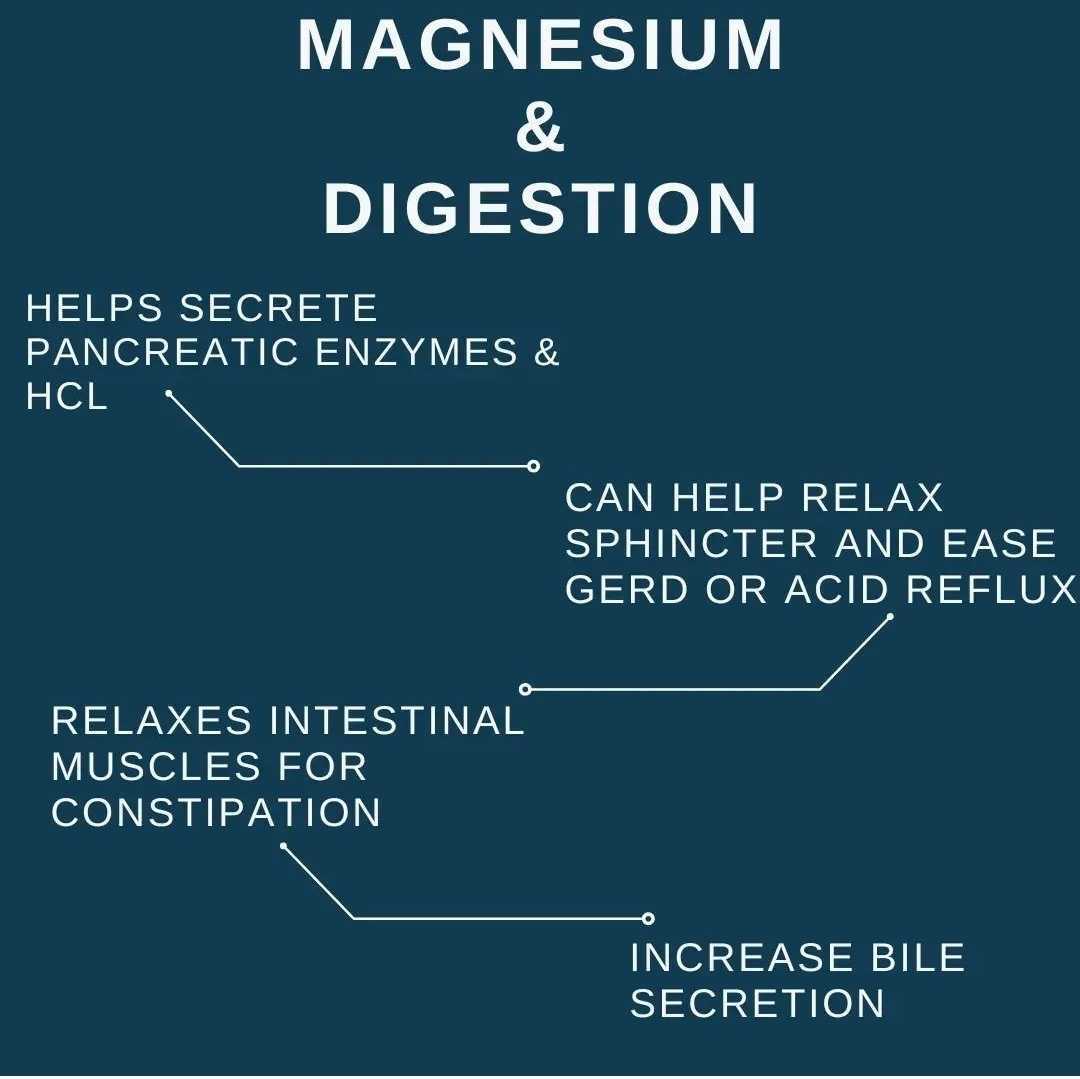 Diagram detailing the benefits of magnesium on digestion with a blue background
