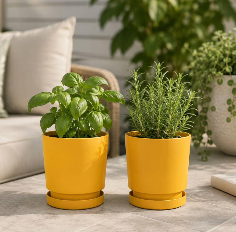 Two yellow potted plants on a patio with a blurred background