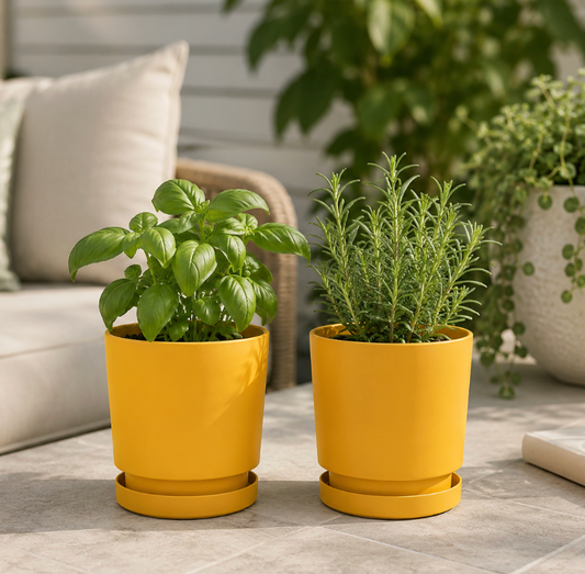 Two yellow potted plants on a patio with a blurred background