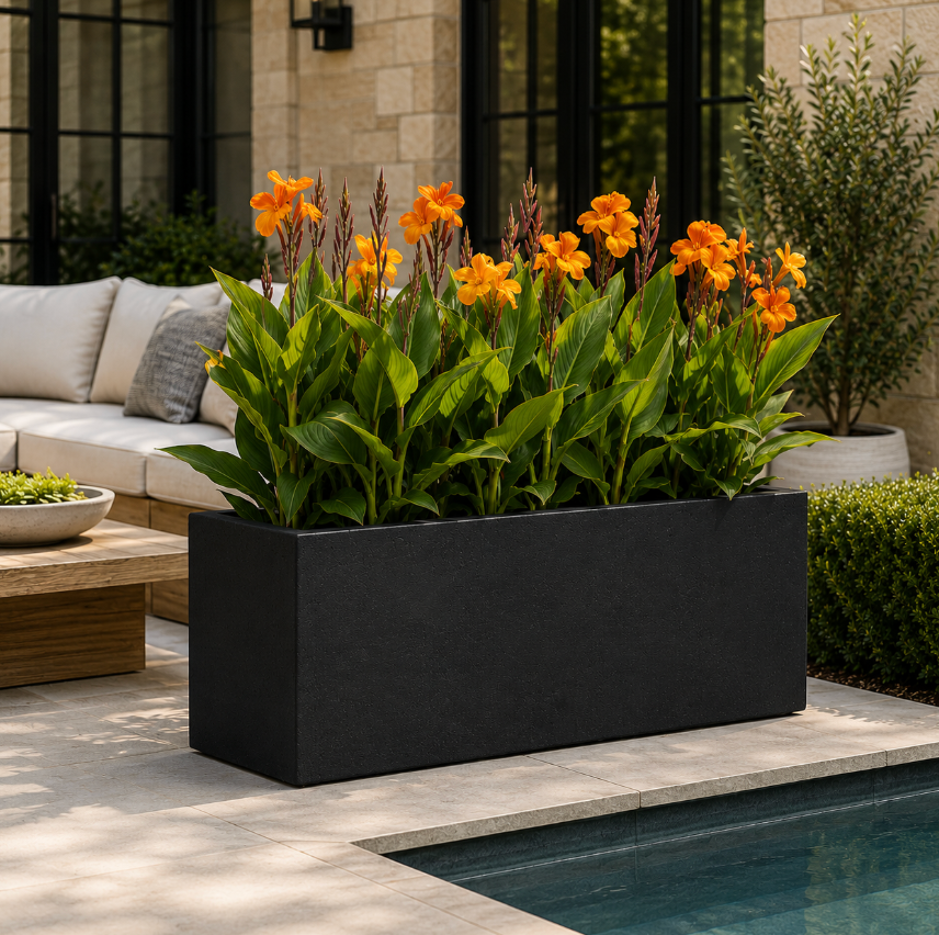 Black rectangular planter with orange flowers on a patio near a pool